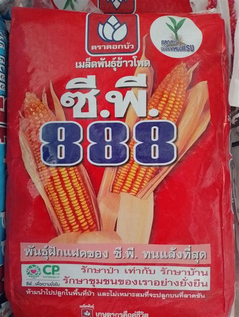 lazada888|ของดี ของถูก Lazada .